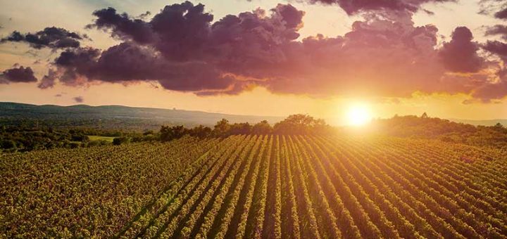 Climate change and business: a guide for investment professionals